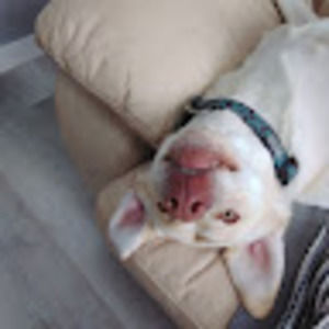 Meet your Posher, Sabrina